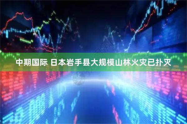 中期国际 日本岩手县大规模山林火灾已扑灭